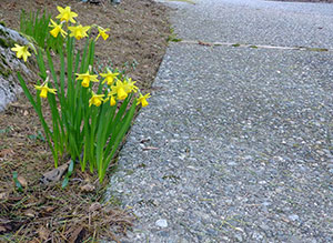 spring driveway maintenance